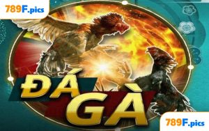 Đá gà Thomo tại 789F
